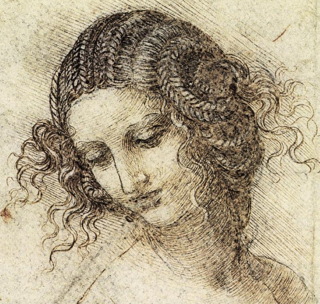 Study for the head of Leda by Leonardo Da Vinci. Showing his use of contour lines to describe the form.