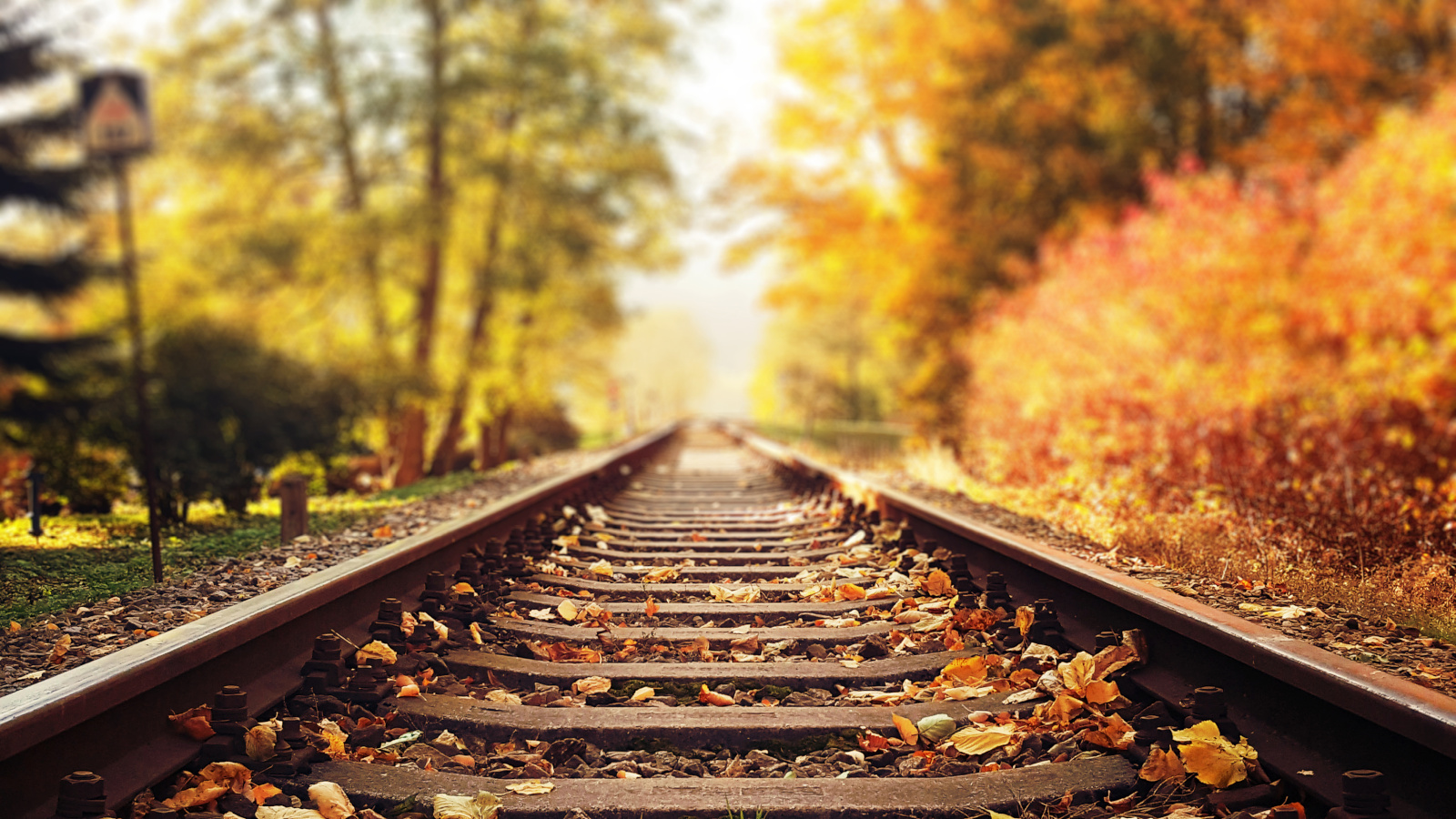 We can easily see the vanishing point in this photo where the railway lines seem to meet in the distance.