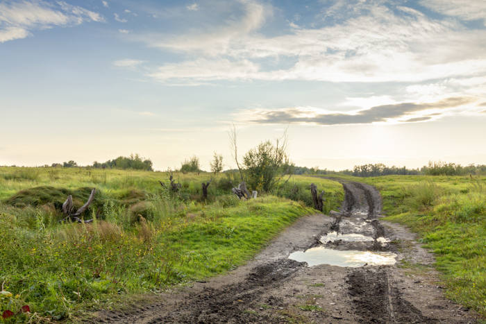 A seemingly ordinary path - it takes the eye of an artist to discover it's  beauty.