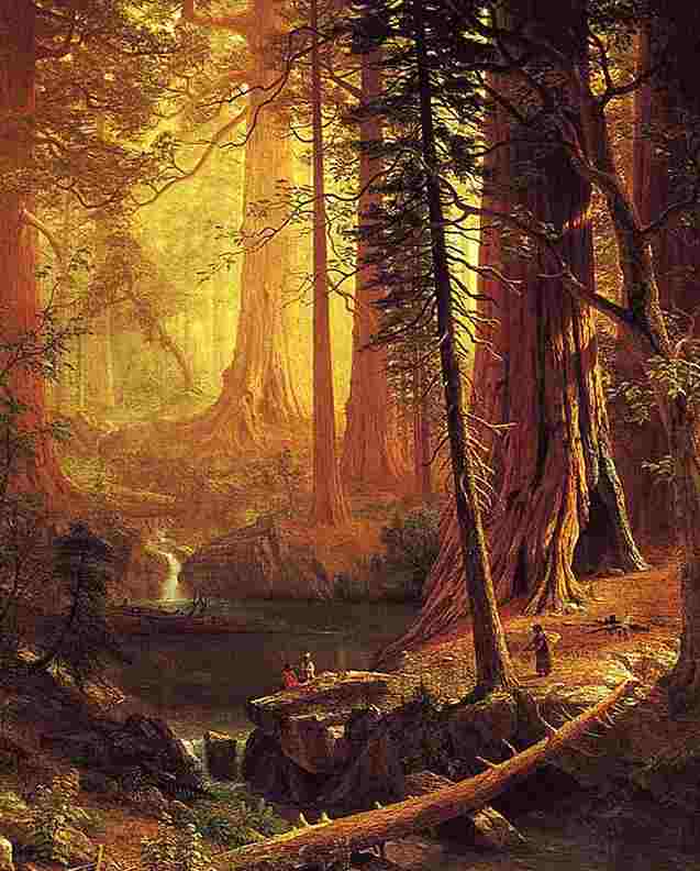 "Giant Redwood Trees of California" by Albert Bierstadt 1874