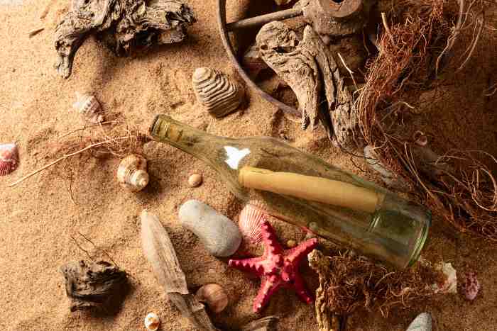 Interesting beach-combing forms.