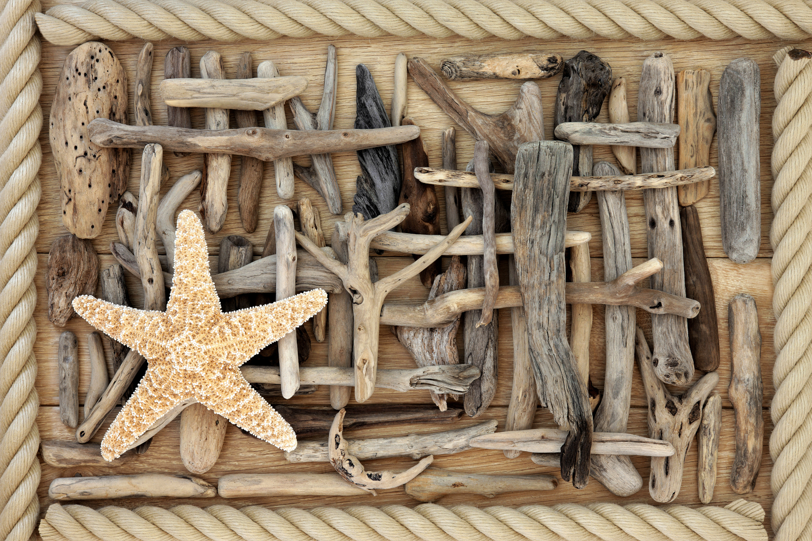 A beach-combing collage